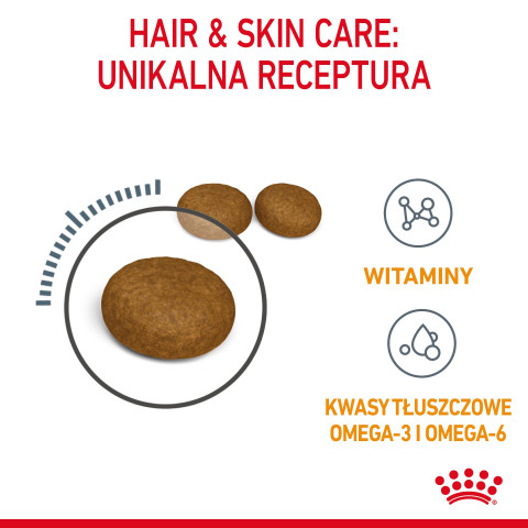 ROYAL CANIN Hair&Skin Care Adult - trockenfutter für Katzen - 400g - Fotogalerie 13