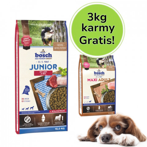 Bosch JUNIOR MIT LAMM & REIS - Fotogalerie 1