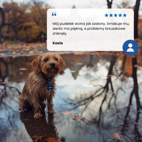 FARMINA N&D Brown Dog Lamb, Spirulina&Carrot Adult Mini - Trockenfutter für Hunde - 2 kg - Fotogalerie 4