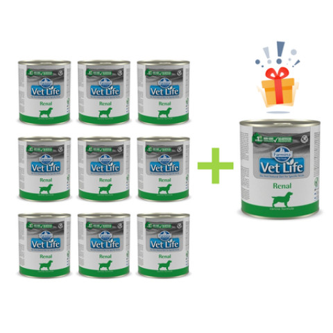 Farmina Pet Food Vet Life Renal Adult 300 g - Fotogalerie 1