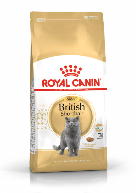 ROYAL CANIN British Shorthair - Trockenfutter für Katzen - 2 kg - Fotogalerie 1