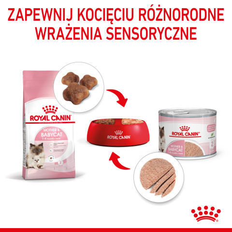 Royal Canin BABYCAT INSTINCTIVE - Nassfutter für Katzen - 195 g - Fotogalerie 2