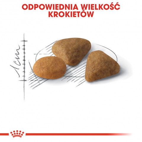 Royal Canin Savour Exigent 35/30 Trockenfutter für Katzen Adult Mais, Geflügel, Reis, Gemüse 2 kg - Fotogalerie 5