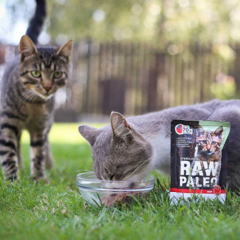 RAW PALEO Adult Cat Sterilised Beef – Nassfutter für Katzen – 100 g - Fotogalerie 3