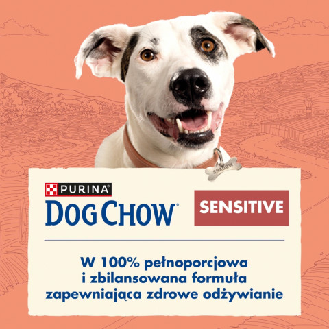 PURINA Dog Chow Sensitive Salmon - trockenfutter für Hunde - 14 + 2,5kg - Fotogalerie 2