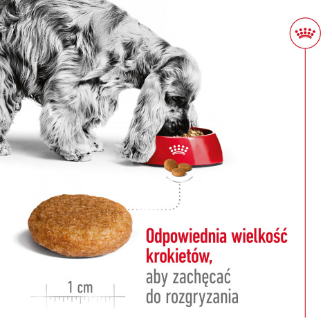 ROYAL CANIN SHN Medium Adult - trockenfutter für Hunde - 15kg - Fotogalerie 2