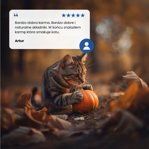 FARMINA N&D Pumpkin Lamb, Pumpkin & Blueberry – Nassfutter für Katzen – 24 x 70 g - Fotogalerie 6