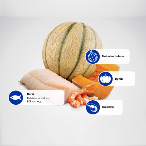 FARMINA N&D Ocean Cat Cod, Shrimp, Pumpkin and Cantaloupe Melon Kitten- Trockenfutter für Katzen - 1.5 kg - Fotogalerie 7