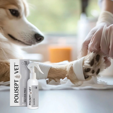 JM SANTE Polisept Vet Spray Silver Pro - wundlösung für hunde und katzen – 200 ml - Fotogalerie 2