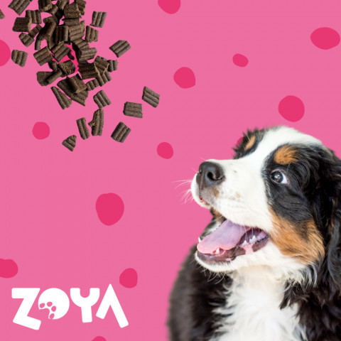 ZOYA ColdPRO Beef - trockenfutter für Hunde - 1kg - Fotogalerie 4