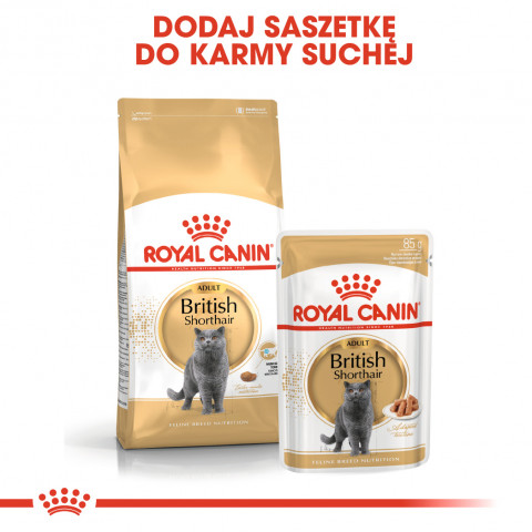 ROYAL CANIN British Shorthair Paket 12x85g - Fotogalerie 2