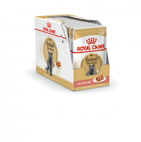 ROYAL CANIN British Shorthair Paket 12x85g - Fotogalerie 10