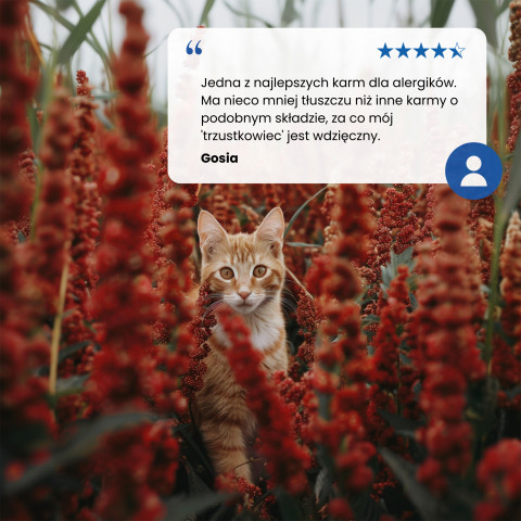 FARMINA N&D Quinoa Skin&Coat Cat Herring and Coconut Adult - Trockenfutter für Katzen - 300 g - Fotogalerie 4