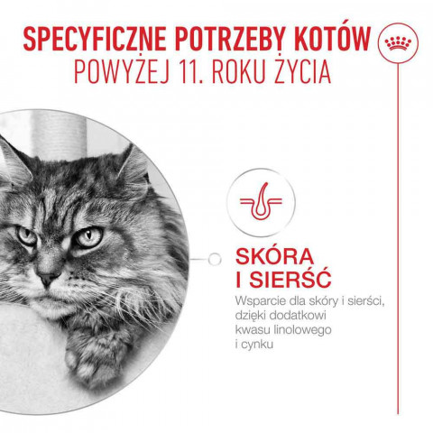 ROYAL CANIN Ageing 11+ Chunks in gravy - nassfutter für Katzen - 12x85g - Fotogalerie 3