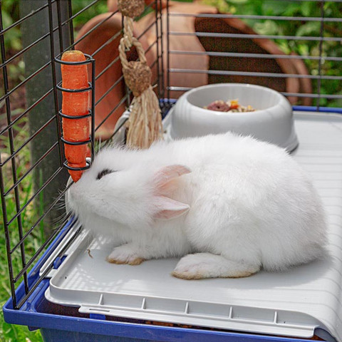 FERPLAST Rabbit 120 - Käfig - Fotogalerie 7