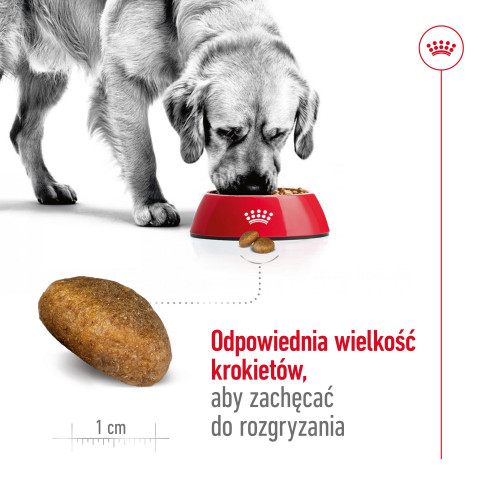 ROYAL CANIN Maxi Adult - Trockenfutter für Hunde - 15 kg - Fotogalerie 7