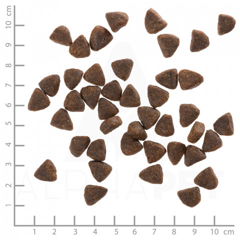 WOLFSBLUT Wide Plain Small breeds Horse with sweet potatoes - trockenfutter für Hunde - 2x7,5kg - Fotogalerie 2