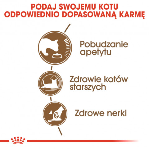 Royal Canin Senior Ageing 12+ Trockenfutter für Katzen Geflügel, Gemüse 0,4kg - Fotogalerie 10
