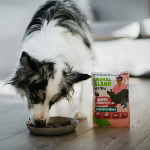 ANIMAL ISLAND Everyday Monoprotein Turkey - Nassfutter für Hunde - 300g - Fotogalerie 3