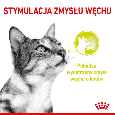 ROYAL CANIN Sensory Smell - nassfutter für Katzen - 12x85g - Fotogalerie 2