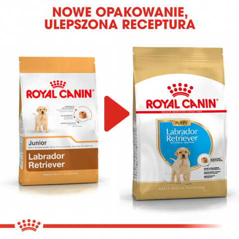 ROYAL CANIN SHN Breed Labrador Junior Trockenfutter für Hunde - 12 kg. - Fotogalerie 3