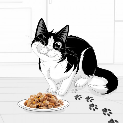 Purina Felix Fantastisches Kaninchen in Gelee - Katzen Nassfutter - 85g - Fotogalerie 6