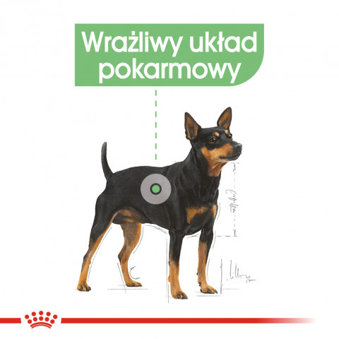 ROYAL CANIN CCN DIGESTIVE CARE LOAF - Nassfutter für ausgewachsene Hunde - 12x85g - Fotogalerie 7