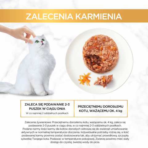 PURINA Gourmet Gold Savoury cake - nassfutter für Katzen - 48x85g - Fotogalerie 7