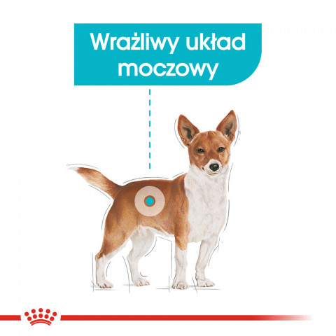 ROYAL CANIN Mini Urinary Care - Trockenfutter für Hunde - 1 kg - Fotogalerie 8