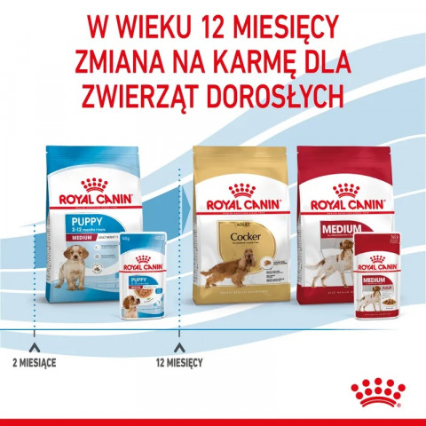 ROYAL CANIN Medium Puppy - Nassfutter für Hunde - 10x140g - Fotogalerie 2