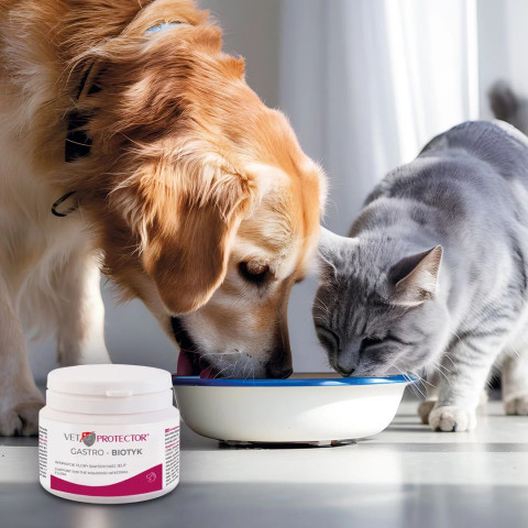 JM SANTE Vet Protector Gastro - Biotyk - multibiotikum für hunde und katzen – 60 g - Fotogalerie 2