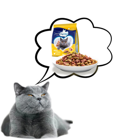 PREVITAL Adult Chicken - trockenfutter für Katzen - 300g - Fotogalerie 3