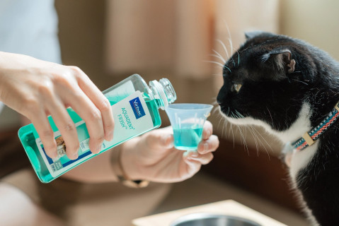 VIRBAC Vet Aquadent FR3SH - zahnmedizinische lösung zur mundhygiene für hunde und katzen – 500ml - Fotogalerie 3