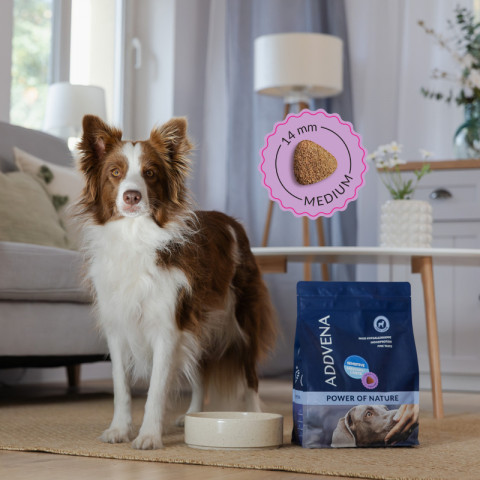 ADDVENA Power of Nature Adult Sensitive Medium/Large Lamb - trockenfutter für Hunde - 10kg - Fotogalerie 2