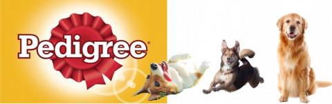 PEDIGREE Adult Huhn mit Karotten in Gelee – Nassfutter für Hunde – 6×400 g - Fotogalerie 3