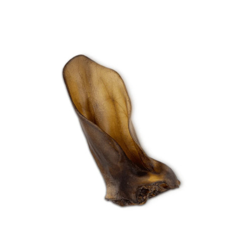 UNISZKI Mittleres Rinderohr - Leckerli für Hunde - 1 Stück - Fotogalerie 2