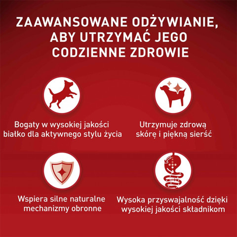  PURINA One Mini Adult Rindfleisch, Reis - Hundetrockenfutter - 800 g - Fotogalerie 2