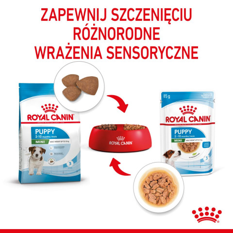 ROYAL CANIN Mini Puppy - Nassfutter für Hunde - 12x85g - Fotogalerie 2