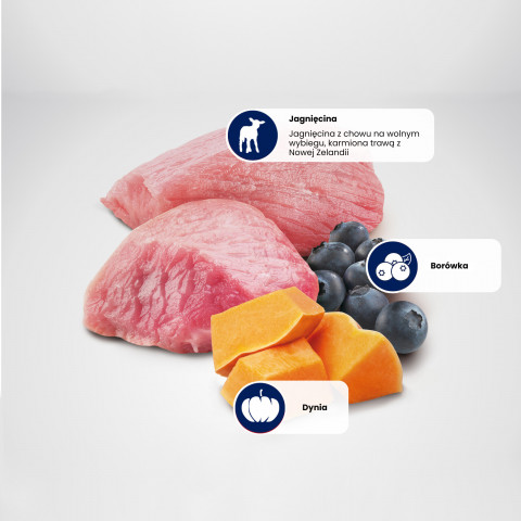 Nasses Hundefutter - FARMINA N&D DOG LAMB&PUMPKIN&BLUEBERRY PUPPY 285g - Fotogalerie 6