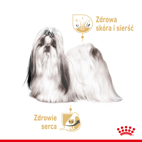 ROYAL CANIN Shih Tzu Adult Nasses Hundefutter Pastete 12x85 g - Fotogalerie 8