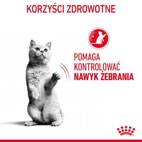 ROYAL CANIN Appetit Control Stücke in Sauce - Nassfutter für Katzen - 12 x 85g - Fotogalerie 9