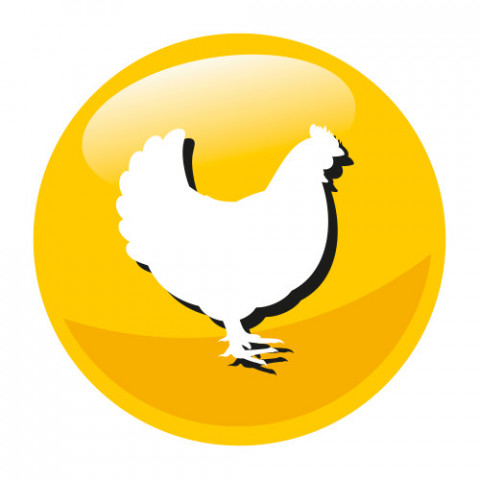 PREVITAL Pillows Chicken with cheese - Katze behandeln - 60g - Fotogalerie 7