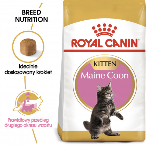 ROYAL CANIN Maine coon FBN Kitten - trockenfutter für Katzen - 400g - Fotogalerie 2