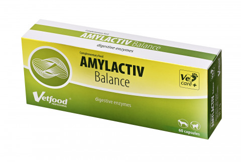 VETFOOD Amylactiv Balance - nahrungsergänzungsmittel für hunde und katzen - 60stück - Fotogalerie 1
