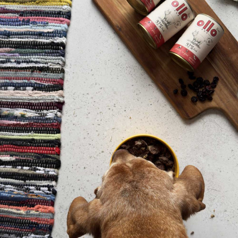 OLLO Pure Pork - Nassfutter für Hunde - 400g - Fotogalerie 4