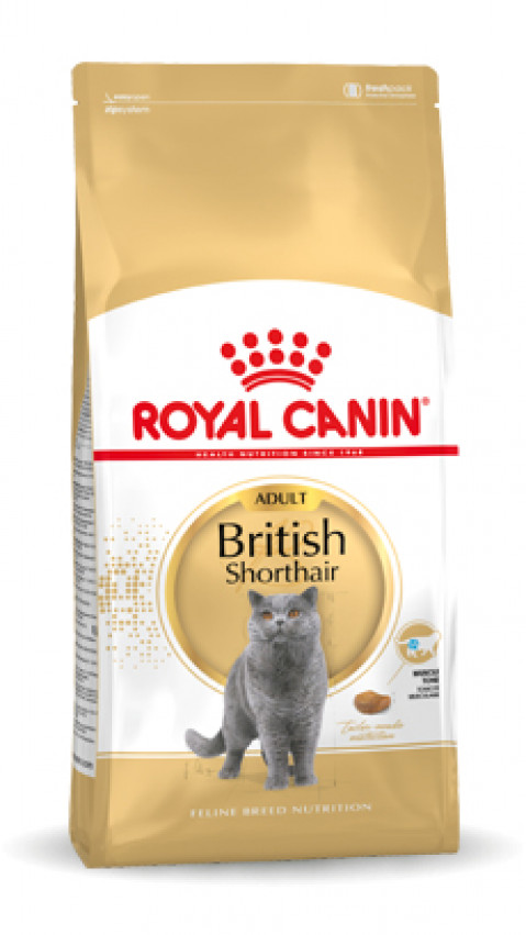 Royal Canin British Shorthair Adult Katzen-Trockenfutter 4 kg - Fotogalerie 9
