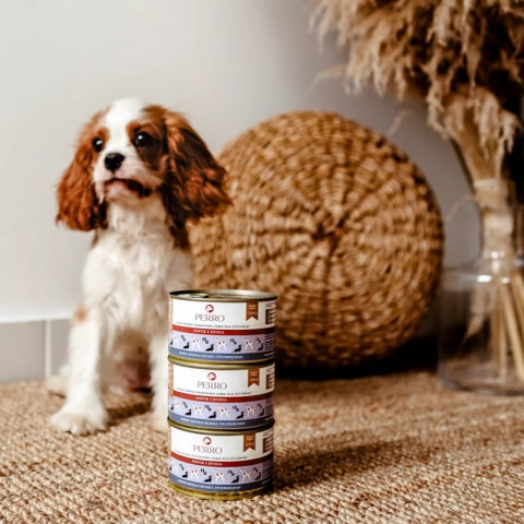 PERRO Junior Turkey and pumpkin - Nassfutter für Hunde - 850g - Fotogalerie 4