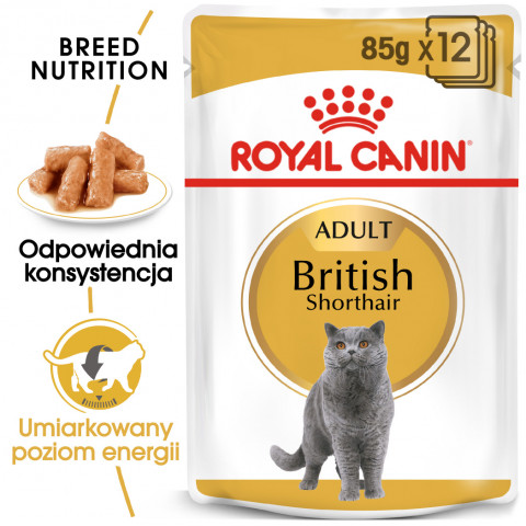 ROYAL CANIN British Shorthair Paket 12x85g - Fotogalerie 8