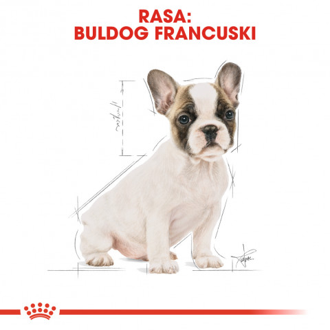 ROYAL CANIN French Bulldog Puppy - Trockenfutter für Hunde - 3 kg - Fotogalerie 8