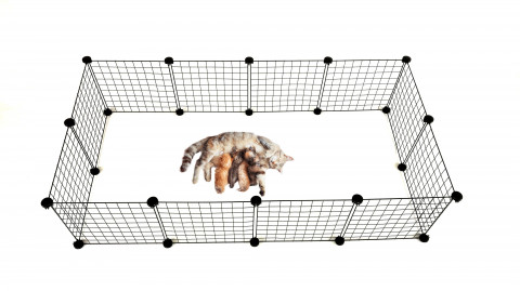  C&C Modularer Hundeauslauf 145x75x37 cm - Fotogalerie 12